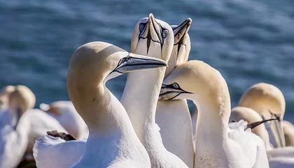 “广西政协原副主席彭晓春被开除党籍，违纪违法问题严重”